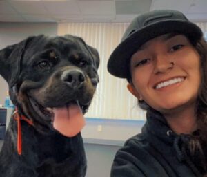Lily — Off Leash K9 Training of Fresno